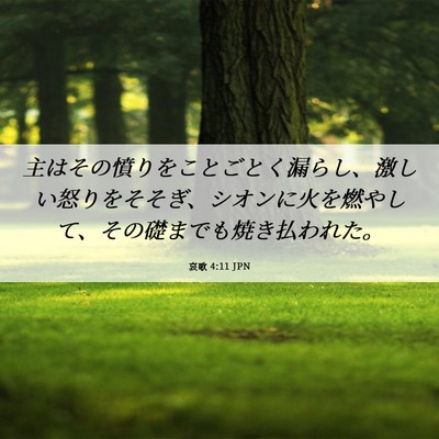 Picture 06 - 哀歌 4:11 JPN - 主はその憤りをことごとく漏らし、 - Bible Verse Picture