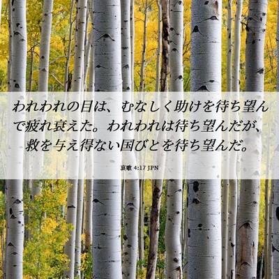 Picture 06 - 哀歌 4:17 JPN - われわれの目は、むなしく助けを待 - Bible Verse Picture