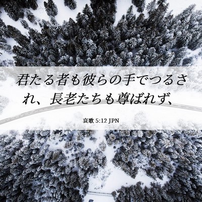 Picture 06 - 哀歌 5:12 JPN - 君たる者も彼らの手でつるされ、長 - Bible Verse Picture