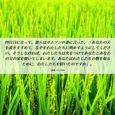 Picture 06 - 士師記 14:15 JPN - 四日目になって、彼らはサムソンの - Bible Verse Picture