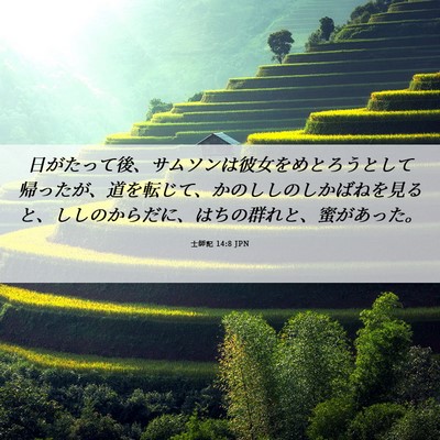 Picture 06 - 士師記 14:8 JPN - 日がたって後、サムソンは彼女をめ - Bible Verse Picture