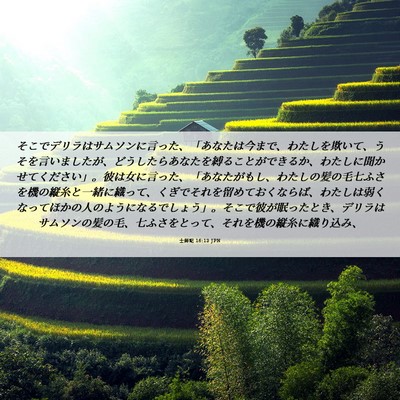 Picture 06 - 士師記 16:13 JPN - そこでデリラはサムソンに言った、 - Bible Verse Picture