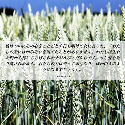 Picture 06 - 士師記 16:17 JPN - 彼はついにその心をことごとく打ち - Bible Verse Picture