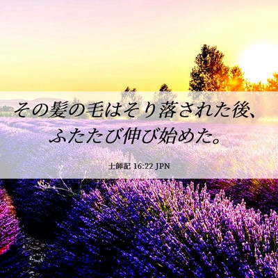 Picture 06 - 士師記 16:22 JPN - その髪の毛はそり落された後、ふた - Bible Verse Picture