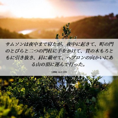 Picture 06 - 士師記 16:3 JPN - サムソンは夜中まで寝たが、夜中に - Bible Verse Picture