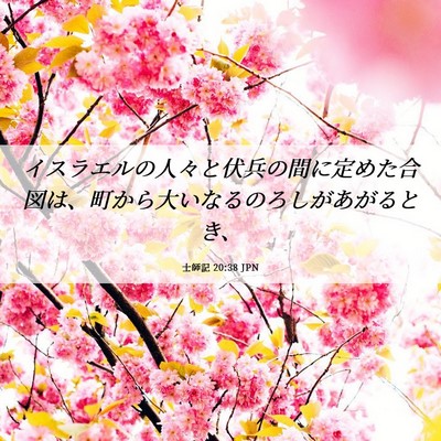 Picture 06 - 士師記 20:38 JPN - イスラエルの人々と伏兵の間に定め - Bible Verse Picture