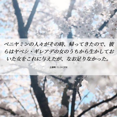 Picture 06 - 士師記 21:14 JPN - ベニヤミンの人々がその時、帰って - Bible Verse Picture