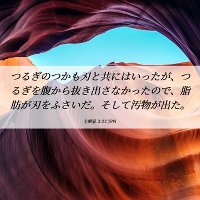 Picture 06 - 士師記 3:22 JPN - つるぎのつかも刃と共にはいったが - Bible Verse Picture