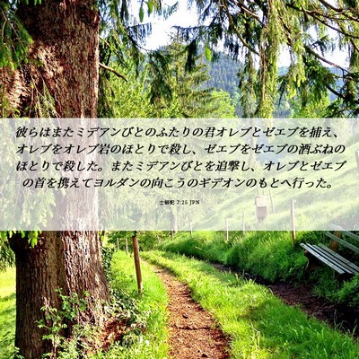 Picture 06 - 士師記 7:25 JPN - 彼らはまたミデアンびとのふたりの - Bible Verse Picture
