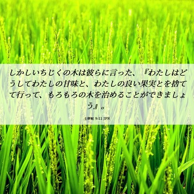 Picture 06 - 士師記 9:11 JPN - しかしいちじくの木は彼らに言った - Bible Verse Picture