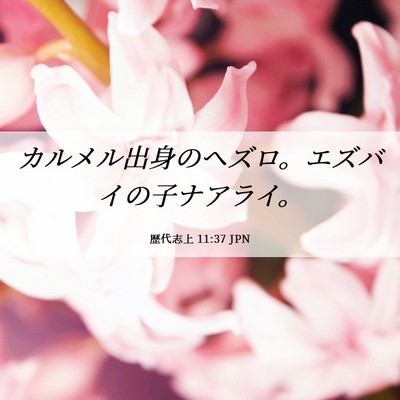 Picture 06 - 歴代志上 11:37 JPN - カルメル出身のヘズロ。エズバイの - Bible Verse Picture
