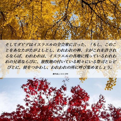 Picture 06 - 歴代志上 13:2 JPN - そしてダビデはイスラエルの全会衆 - Bible Verse Picture