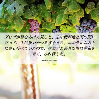 Picture 06 - 歴代志上 21:16 JPN - ダビデが目をあげて見ると、主の使 - Bible Verse Picture