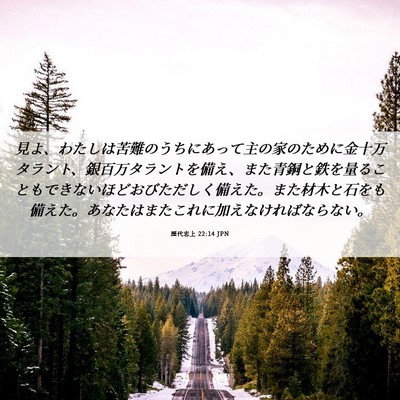 Picture 06 - 歴代志上 22:14 JPN - 見よ、わたしは苦難のうちにあって - Bible Verse Picture