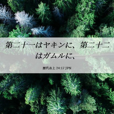 Picture 06 - 歴代志上 24:17 JPN - 第二十一はヤキンに、第二十二はガ - Bible Verse Picture
