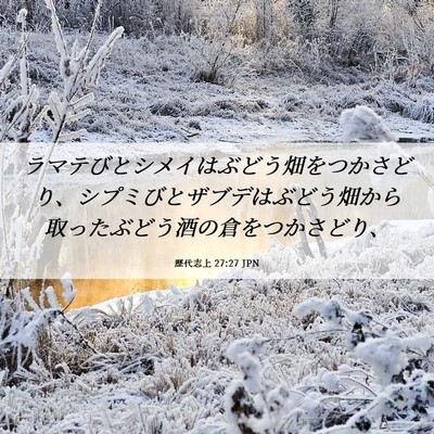 Picture 06 - 歴代志上 27:27 JPN - ラマテびとシメイはぶどう畑をつか - Bible Verse Picture
