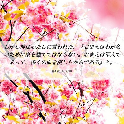 Picture 06 - 歴代志上 28:3 JPN - しかし神はわたしに言われた、『お - Bible Verse Picture