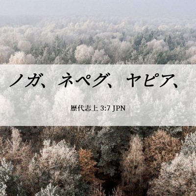 Picture 06 - 歴代志上 3:7 JPN - ノガ、ネペグ、ヤピア、 - Bible Verse Picture