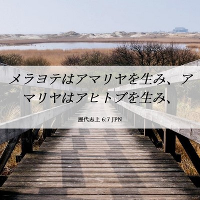Picture 06 - 歴代志上 6:7 JPN - メラヨテはアマリヤを生み、アマリ - Bible Verse Picture