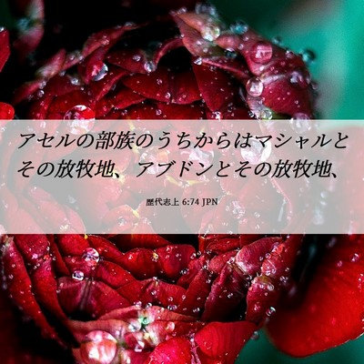 Picture 06 - 歴代志上 6:74 JPN - アセルの部族のうちからはマシャル - Bible Verse Picture