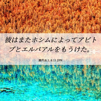Picture 06 - 歴代志上 8:11 JPN - 彼はまたホシムによってアビトブと - Bible Verse Picture