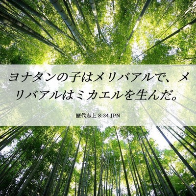Picture 06 - 歴代志上 8:34 JPN - ヨナタンの子はメリバアルで、メリ - Bible Verse Picture