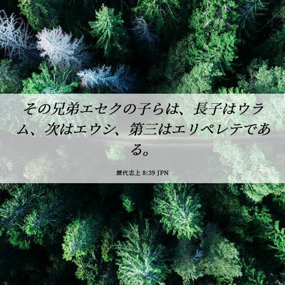 Picture 06 - 歴代志上 8:39 JPN - その兄弟エセクの子らは、長子はウ - Bible Verse Picture