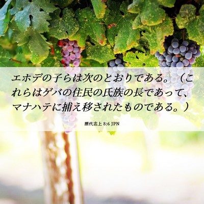 Picture 06 - 歴代志上 8:6 JPN - エホデの子らは次のとおりである。 - Bible Verse Picture