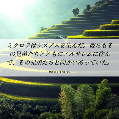 Picture 06 - 歴代志上 9:38 JPN - ミクロテはシメアムを生んだ。彼ら - Bible Verse Picture