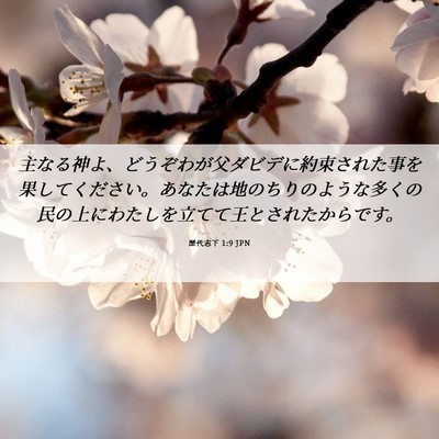 Picture 06 - 歴代志下 1:9 JPN - 主なる神よ、どうぞわが父ダビデに - Bible Verse Picture