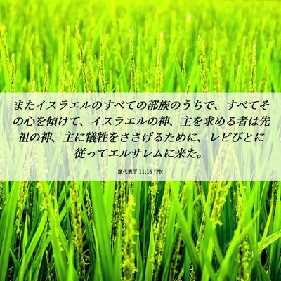 Picture 06 - 歴代志下 11:16 JPN - またイスラエルのすべての部族のう - Bible Verse Picture