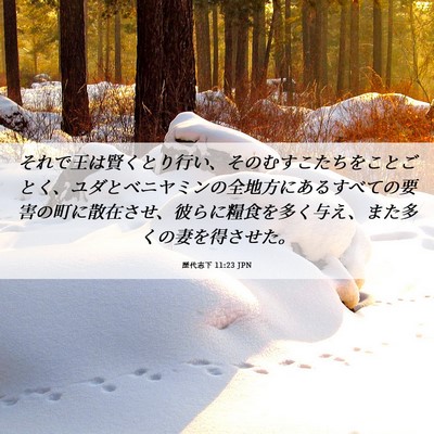 Picture 06 - 歴代志下 11:23 JPN - それで王は賢くとり行い、そのむす - Bible Verse Picture