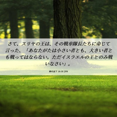 Picture 06 - 歴代志下 18:30 JPN - さて、スリヤの王は、その戦車隊長 - Bible Verse Picture