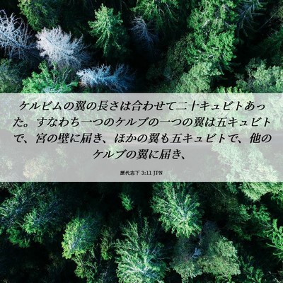 Picture 06 - 歴代志下 3:11 JPN - ケルビムの翼の長さは合わせて二十 - Bible Verse Picture