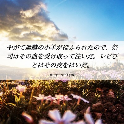 Picture 06 - 歴代志下 35:11 JPN - やがて過越の小羊がほふられたので - Bible Verse Picture