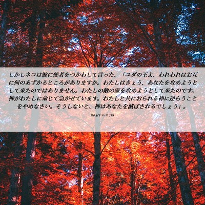 Picture 06 - 歴代志下 35:21 JPN - しかしネコは彼に使者をつかわして - Bible Verse Picture