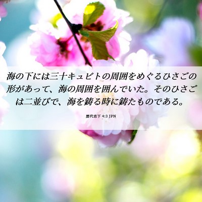 Picture 06 - 歴代志下 4:3 JPN - 海の下には三十キュビトの周囲をめ - Bible Verse Picture