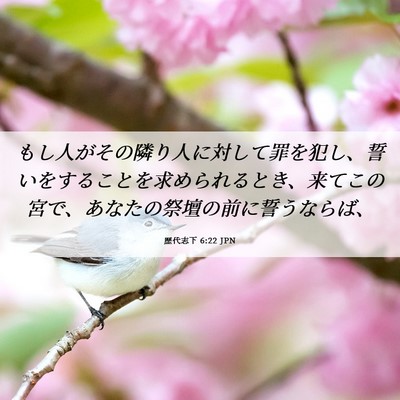 Picture 06 - 歴代志下 6:22 JPN - もし人がその隣り人に対して罪を犯 - Bible Verse Picture