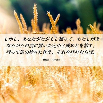 Picture 06 - 歴代志下 7:19 JPN - しかし、あなたがたがもし翻って、 - Bible Verse Picture