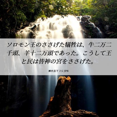 Picture 06 - 歴代志下 7:5 JPN - ソロモン王のささげた犠牲は、牛二 - Bible Verse Picture