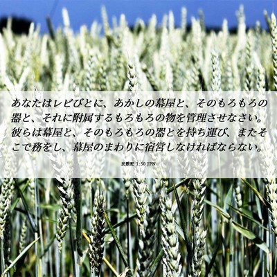 Picture 06 - 民数記 1:50 JPN - あなたはレビびとに、あかしの幕屋 - Bible Verse Picture