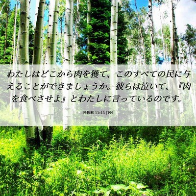 Picture 06 - 民数記 11:13 JPN - わたしはどこから肉を獲て、このす - Bible Verse Picture