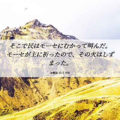 Picture 06 - 民数記 11:2 JPN - そこで民はモーセにむかって叫んだ - Bible Verse Picture