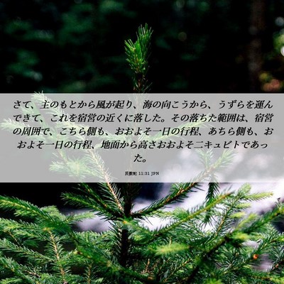 Picture 06 - 民数記 11:31 JPN - さて、主のもとから風が起り、海の - Bible Verse Picture