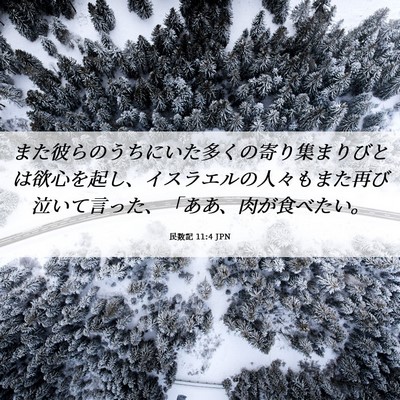 Picture 06 - 民数記 11:4 JPN - また彼らのうちにいた多くの寄り集 - Bible Verse Picture