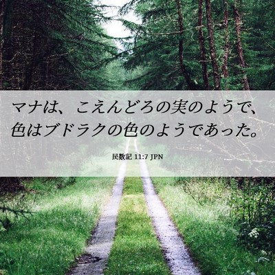 Picture 06 - 民数記 11:7 JPN - マナは、こえんどろの実のようで、 - Bible Verse Picture