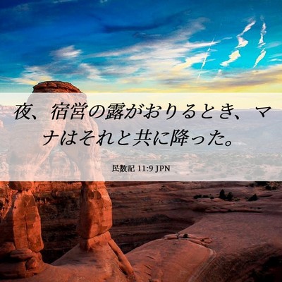 Picture 06 - 民数記 11:9 JPN - 夜、宿営の露がおりるとき、マナは - Bible Verse Picture
