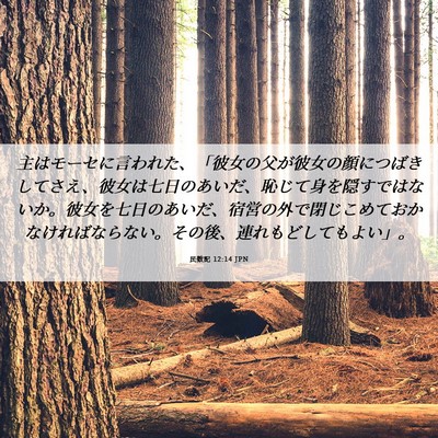 Picture 06 - 民数記 12:14 JPN - 主はモーセに言われた、「彼女の父 - Bible Verse Picture