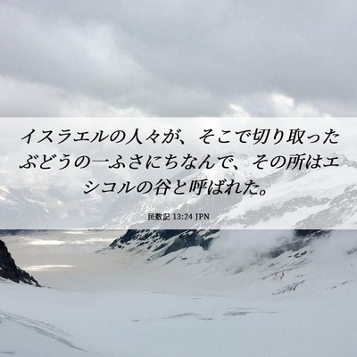 Picture 06 - 民数記 13:24 JPN - イスラエルの人々が、そこで切り取 - Bible Verse Picture