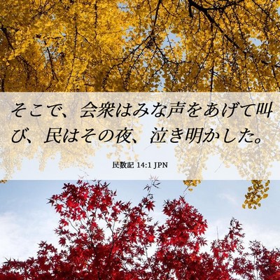 Picture 06 - 民数記 14:1 JPN - そこで、会衆はみな声をあげて叫び - Bible Verse Picture